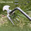 Small Weed Puller With 4 Teeth, Gardening Hand Tools, Weed Remover Tool 1