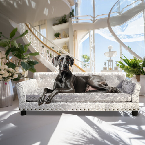 Extra Large Modern Raised Pet Sofa Couch For Large DogXL(120x74x40cm) 2