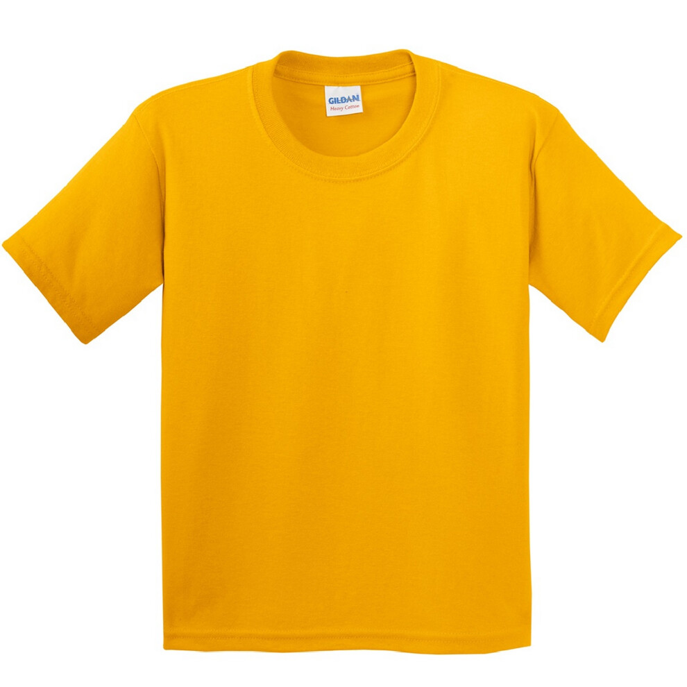 (XL, Gold) Gildan Childrens Unisex Heavy Cotton T-Shirt (Pack Of 2)