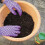 Miracle-Gro Miracle-Gro All Purpose Continuous Release Plant Food 900G 4