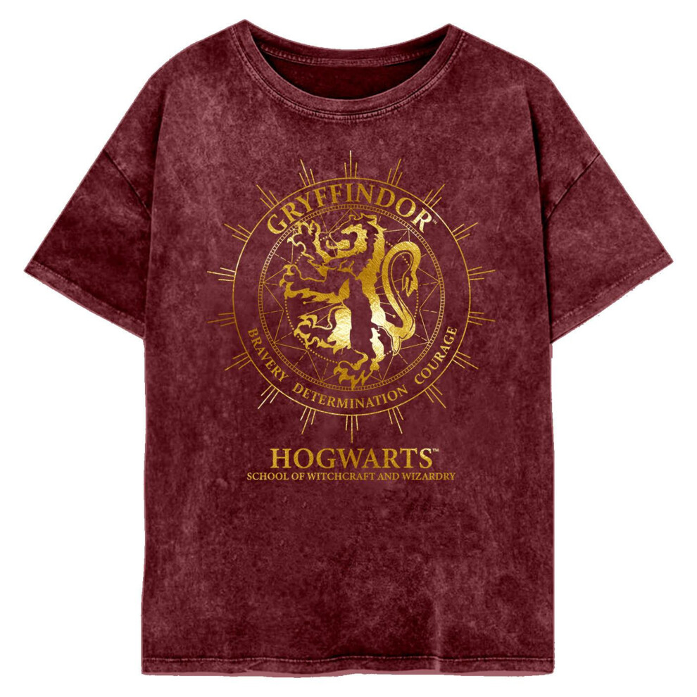 Gryffindor Constellation T-Shirt