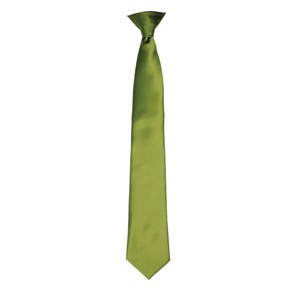 (One size, Oasis Green) Premier Colours Mens Satin Clip Tie