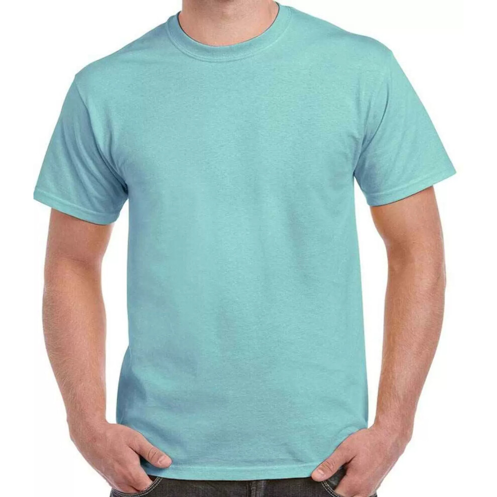 (L, Chalky Mint) Gildan Hammer Unisex Adult Cotton Classic T-Shirt