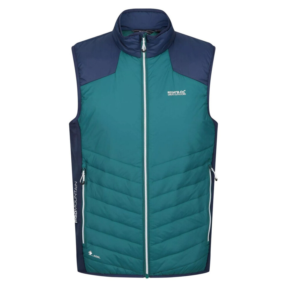 (S, Pacific Green/Admiral Blue) Regatta Mens Halton VI Lightweight Body Warmer