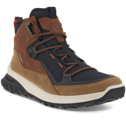 Ecco hiking boots mens best sale