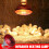 INFRA RED HEAT BULB 250W Poultry Chick Brooder Lambs Livestock 4