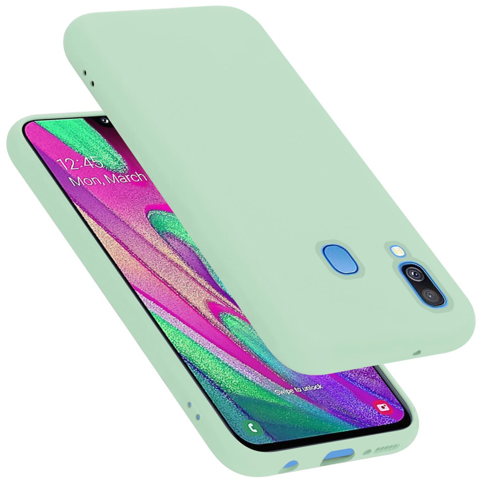 (LIQUID LIGHT GREEN) Cadorabo Case for Samsung Galaxy A40 Cover Protection TPU Silicone Gel