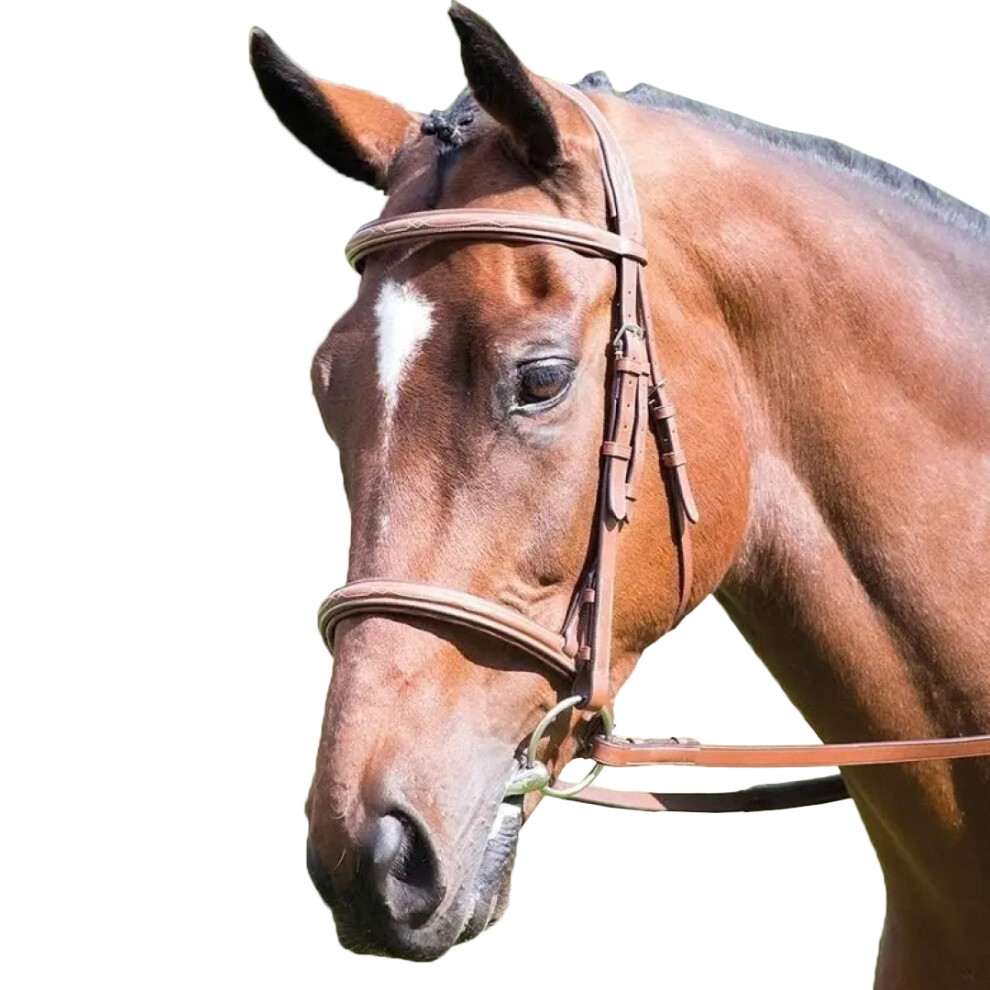 (Full, Oak) Avignon Padded Leather Horse Cavesson Noseband