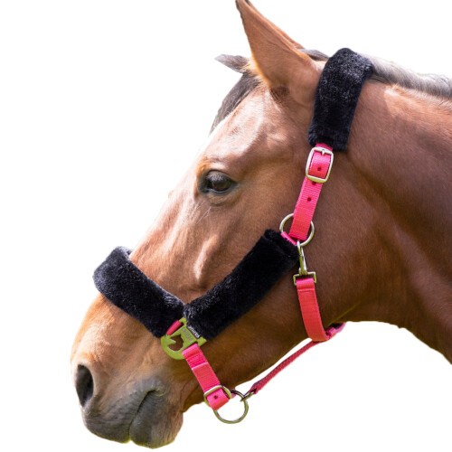 (Full, Pink/Black) Shires Fleece Lined Horse Headcollar
