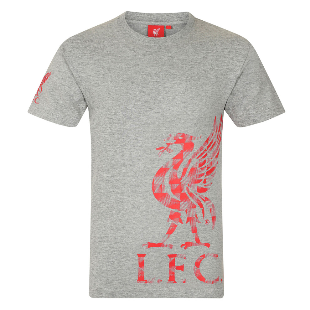 (Grey, 8-9 Years) Liverpool FC Boys T-Shirt Graphic Kids OFFICIAL Football Gift