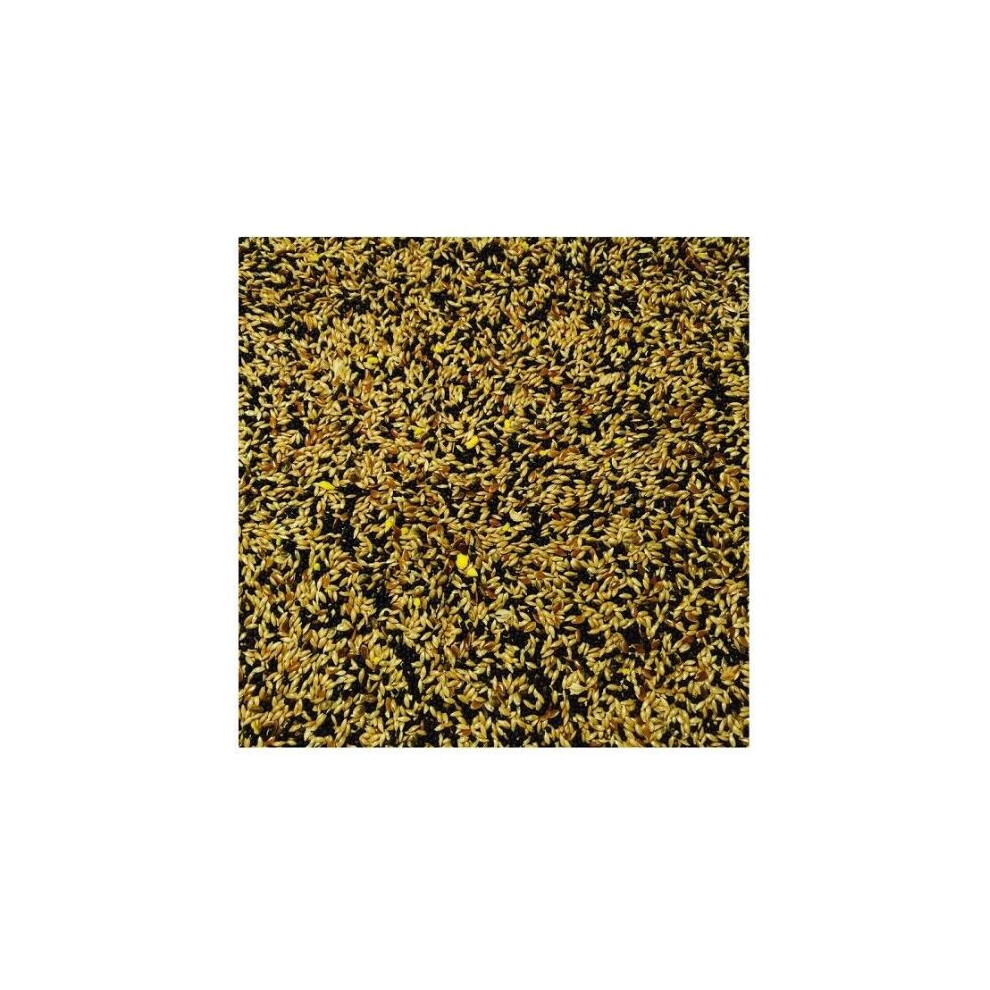 (500g) Bucktons No.1 Mixed Canary Seed / Food