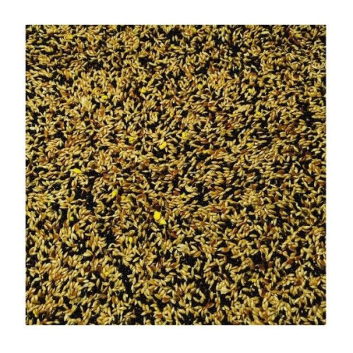 (1kg) Bucktons No.1 Mixed Canary Seed / Food
