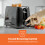 GEEPAS (Black) Geepas 2Slice Toaster 6Level Browning Control 650W 5