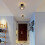 Vintage Ceiling Light, Black Semi Flush Mount Ceiling Light, Metal Cage Ceiling Light Shade 5