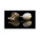 Luxury Oval Cufflinks Gold and Silver Twirl Great Gift 2