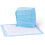 Amazon Amazon Basics Dog and Puppy Training Pads, Leakproof, 5-Layer Design with Quick-Dry Surface, Regular, Pack of 50, Blue 1