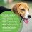 Protexin Protexin - Pro-Kolin for dogs and cats - Probiotic paste to support the gut 30ml + Syringe 2