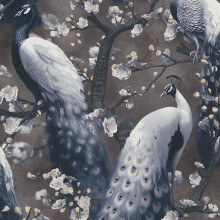 (Black 10414-15) Erismann Abode Play of Light Peacock Wallpaper