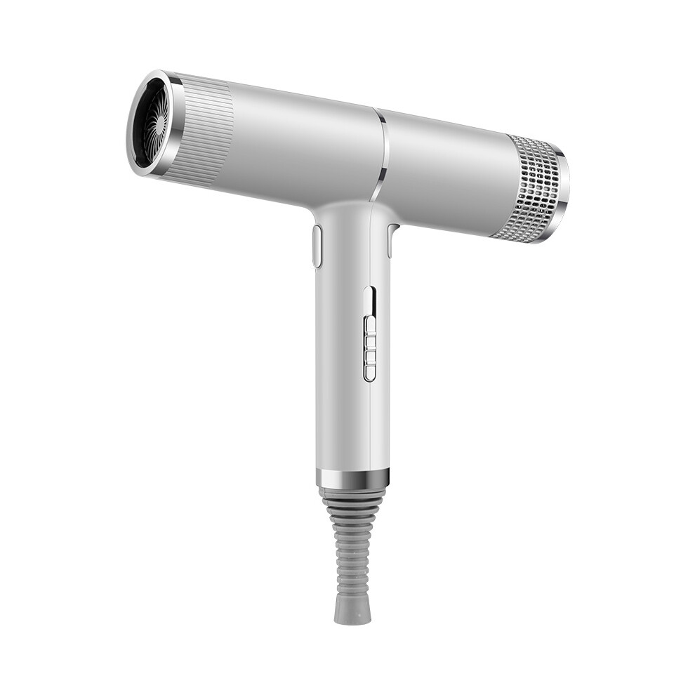 (Silver ) Negative Ionic Hair Dryer Professional Blow Dryer Lightweight Quick Drying with 3 Diffusers