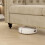 MCC (BEIGE) 2 seater Chesterfield Style Button Sofa Victoria 6