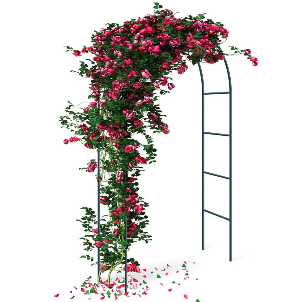 2.4M Garden Arch Trellis Arched Metal Tubular Frame Climbing Plant Archway