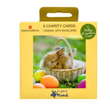 Pack Of 6 Mind Mini Cute Bunnies Easter Cards Charity Greeting Cards