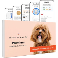 Wisdom Panel Premium Dog DNA Test: 260+ Health Tests, Accurate Breed ID & Ancestry, 50+ Trait Insights | UK Lab