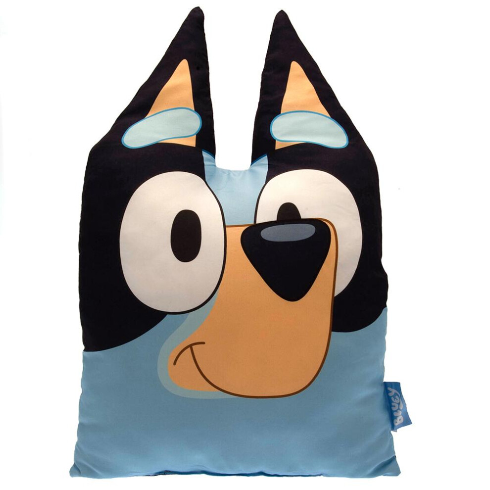 Bluey Face Filled Cushion