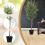Artificial 180cm Olive Tree Fake Plant 48Pcs Olives Pot Indoor Décor - 6Ft 3
