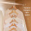 50-Pack - Clothes Hanger Hook for Hanger - Save space in wardrobe 2