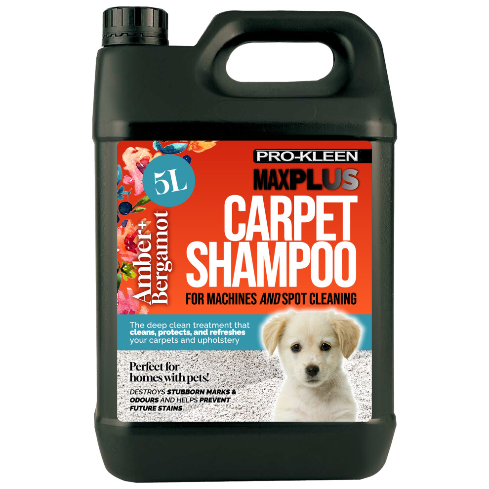 Carpet Cleaning Shampoo Odour Remover Amber & Bergamot Scent 1 x 5L