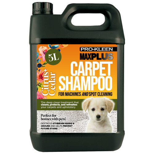 Pro-Kleen (Citrus & Cedar, 5L) Pro-Kleen 5L MAXPlus Carpet Cleaner