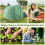 Outsunny Outsunny 2.5 x 2m Walk-In Polytunnel Greenhouse with Roll Up Door Windows Green 5