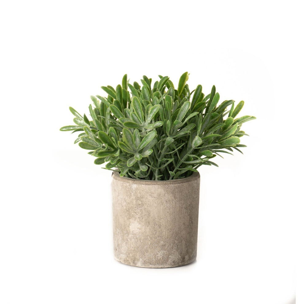 Hill Interiors Buxus Artificial Plant