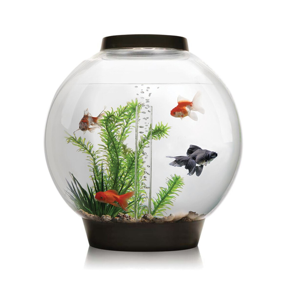biOrb Classic 30L Aquarium in Black with MCR LED Lighting and Heater Pack