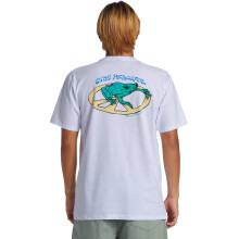 (S, White) Quiksilver Mens Stay Peacefull Short Sleeve Crew Neck Cotton T-Shirt Top Tee