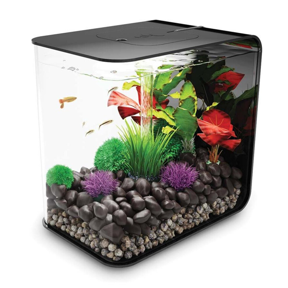 biOrb Flow 30L Aquarium, Black with MCR LED lighting and Heater Pack