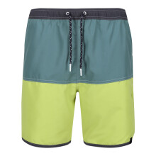 (S, Sea Pine/Green Algae) Regatta Mens Benicio Swim Shorts