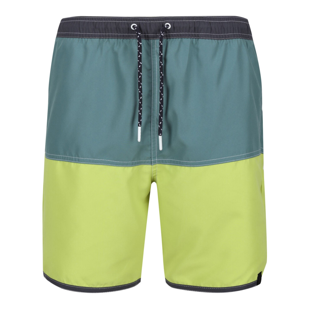 (XL, Sea Pine/Green Algae) Regatta Mens Benicio Swim Shorts