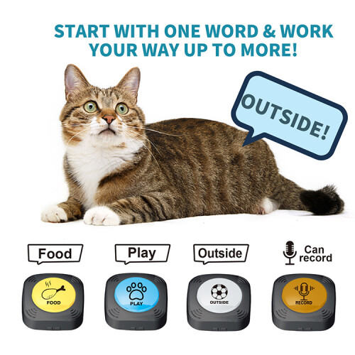 Interactive Recordable Command Pet Buttons Cat And Dog Interactive Toy Trainer 2