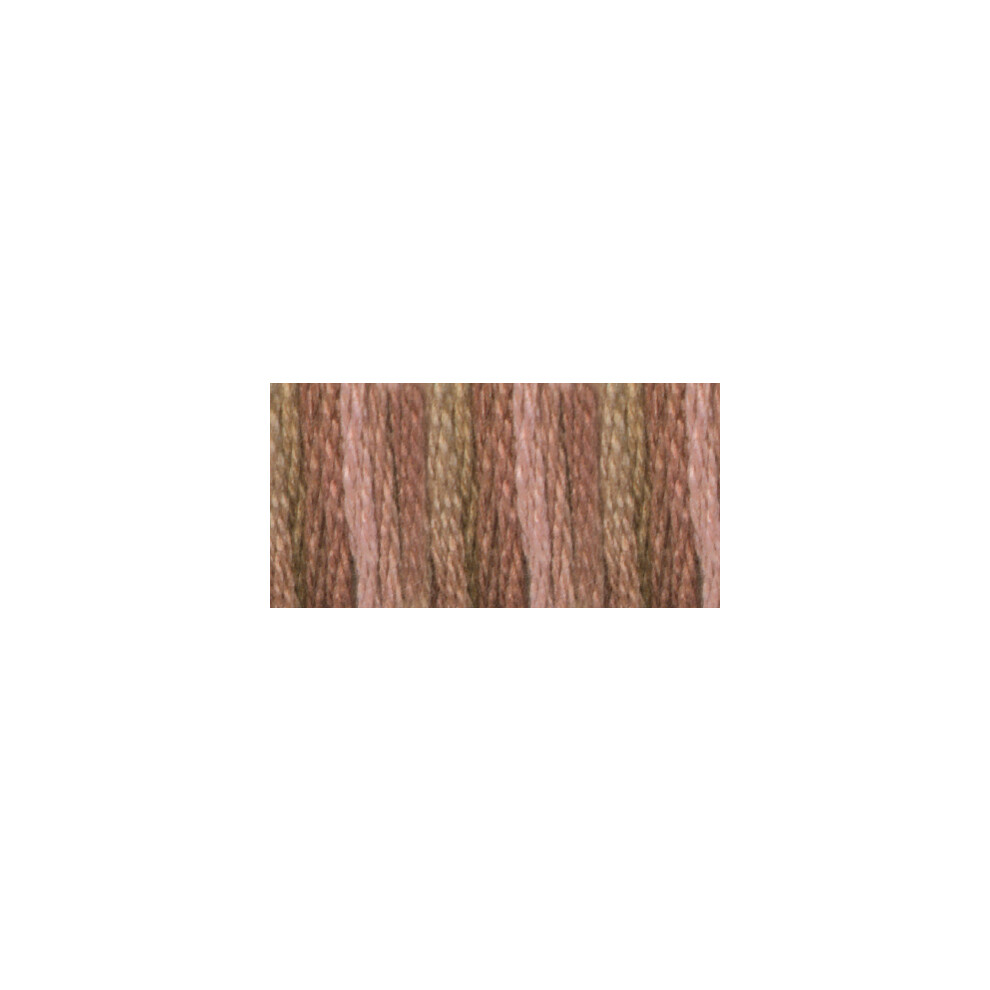 Dmc Color Variations 6-Strand Embroidery Floss 8.7Yd-Driftwood 417F-4140