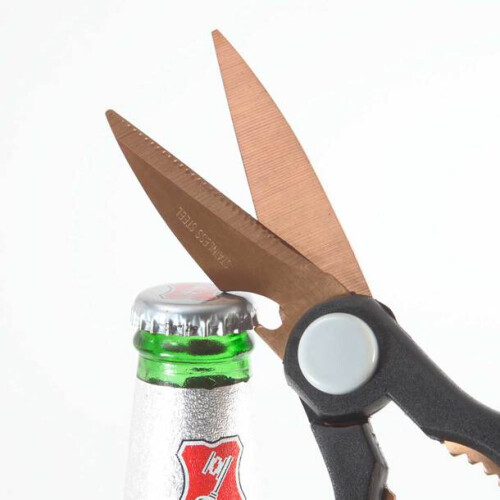 Titanium Scissors 1