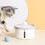 Automatic Water Dispenser Silent Water Feeding Automatic Circulation Pet Waterer 6