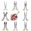 8Pcs Round Beading Nose Pliers Wire Side Cutters Pliers Tools Set 3