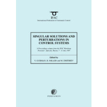 Singular Solutions and Perturbations in Control Systems
