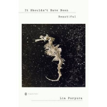 It Shouldn't Have Been Beautiful Penguin Poets