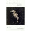 It Shouldn't Have Been Beautiful Penguin Poets 1