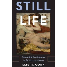 Still Life Suspended Development in the Victorian Novel