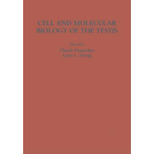 Cell and Molecular Biology of the Testis