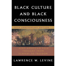 Black Culture and Black Consciousness AfroAmerican Folk Thought from Slavery to Freedom